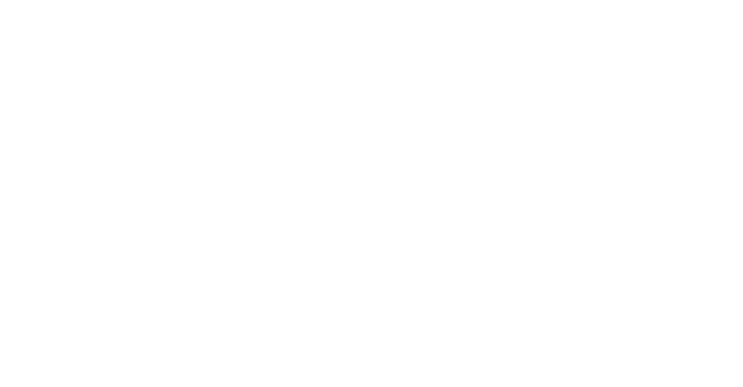 Bestattungsdienst Borst - Bestatter und Berater bei Trauerhilfe, Bestattungsvorsorge und Bestattungen für Weißenhorn, Pfaffenhofen, Roggenburg und im Landkreis Ulm / Neu-Ulm
